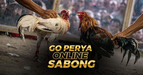 playperya05|ONLINE SABONG: PlayPerya (GoPerya).